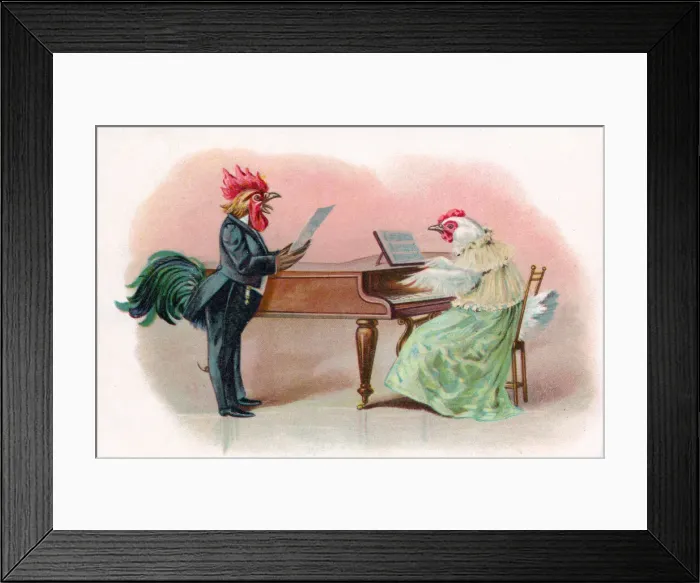 Framed Print : Musical cock and hen with piano on a greetings postcard Framed Print : Musical cock and hen with piano on a greetings postcard