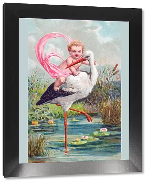 Stork with baby riding on its back on a greetings postcard