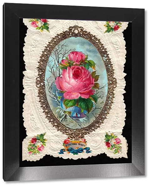 Pink roses on a romantic greetings card