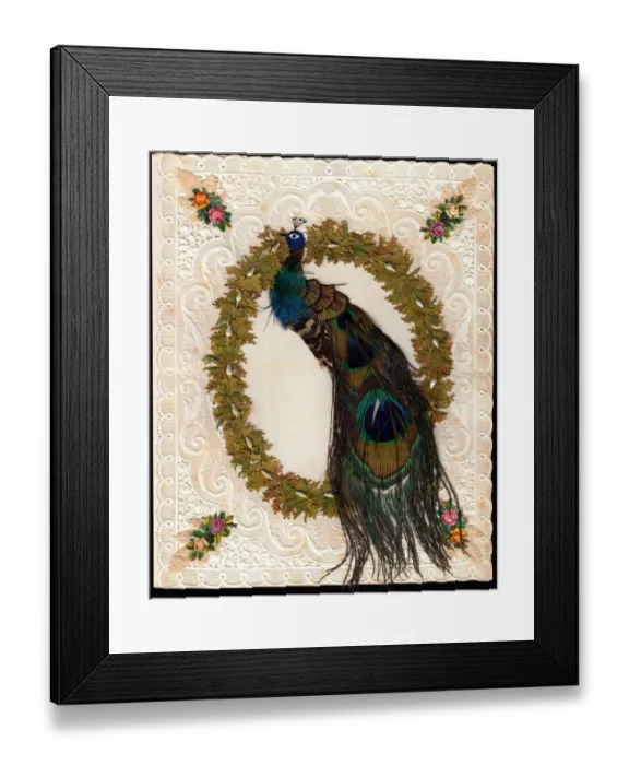 Framed Print : Peacock made with feathers on a paper lace card Framed Print : Peacock made with feathers on a paper lace card