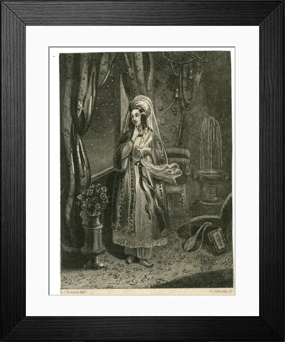 Framed Print : The Sultana Framed Print : The Sultana
