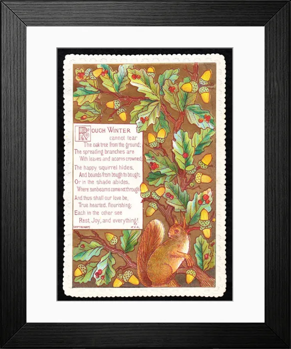 Framed Print : Squirrel and acorns on a greetings card Framed Print : Squirrel and acorns on a greetings card