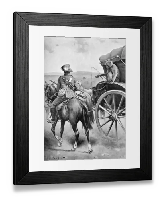 Framed Print : Baboon military mascot, 1901 Framed Print : Baboon military mascot, 1901