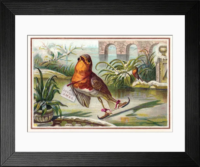 Framed Print : Robin skating on a Christmas card Framed Print : Robin skating on a Christmas card