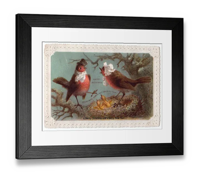 Framed Print : Robins and chicks on a Christmas and New Year card Framed Print : Robins and chicks on a Christmas and New Year card