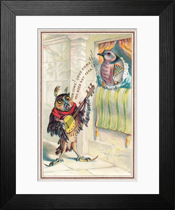 Framed Print : Musical owl with banjo serenading on a romantic card Framed Print : Musical owl with banjo serenading on a romantic card