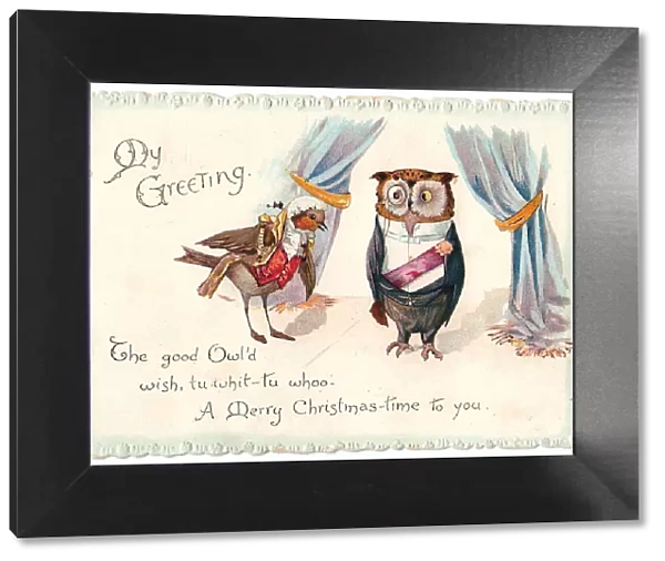 Owl and robin in evening dress on a Christmas card
