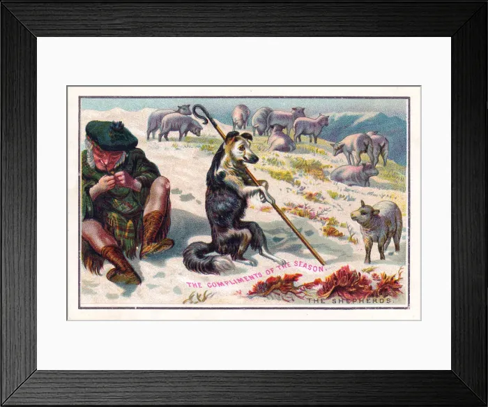 Framed Print : Scottish shepherd with dog and sheep on a Christmas card Framed Print : Scottish shepherd with dog and sheep on a Christmas card