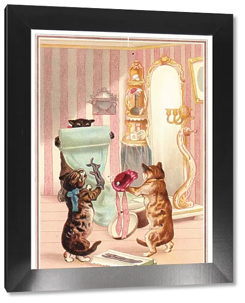 Cats in a dress shop on a Christmas card