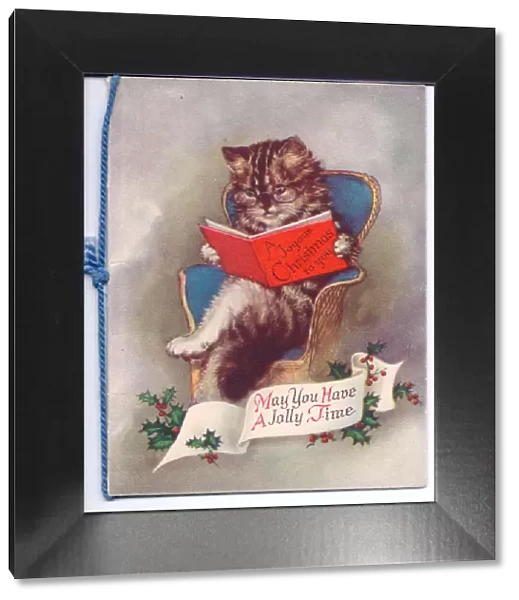 Cat reading a book on a Christmas card