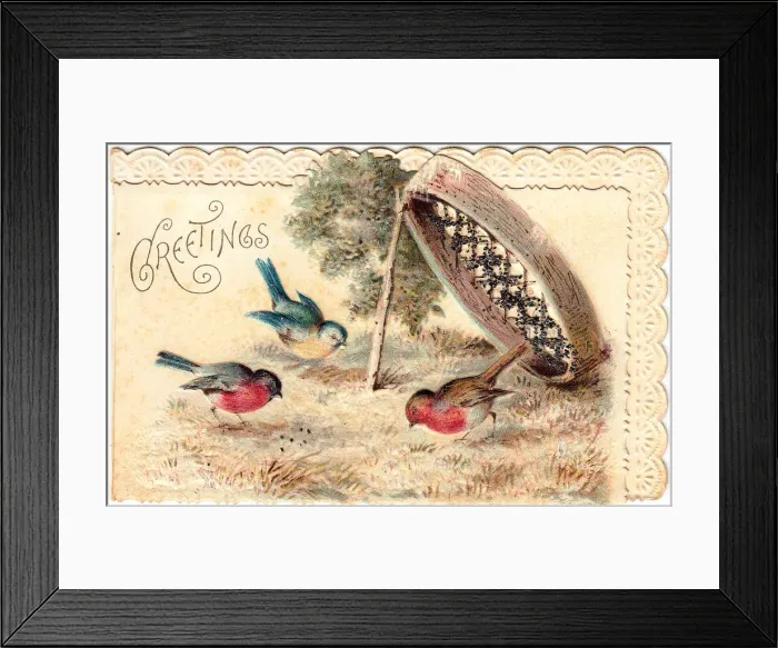 Framed Print : Two robins and a blue tit on a greetings card Framed Print : Two robins and a blue tit on a greetings card