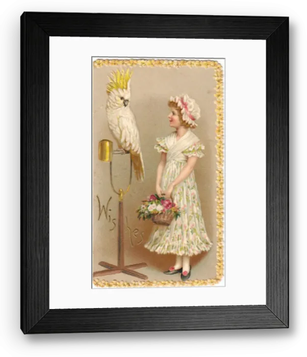 Framed Print : Girl with cockatoo on a greetings card Framed Print : Girl with cockatoo on a greetings card