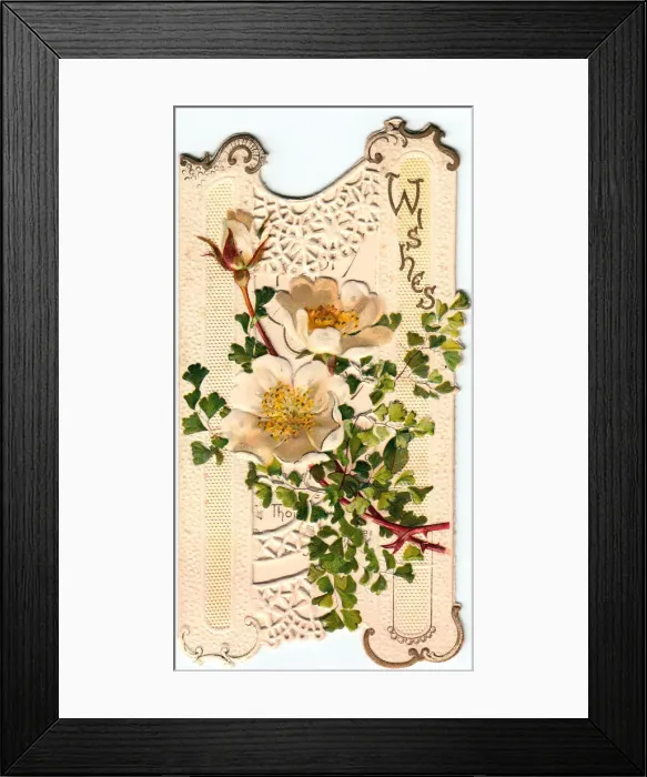 Framed Print : White flowers on a cutout greetings card Framed Print : White flowers on a cutout greetings card