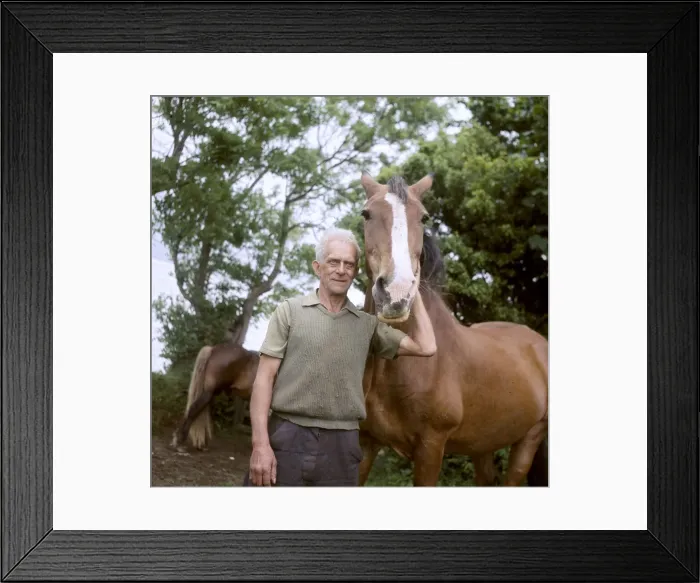 Framed Print : (insert) Framed Print : (insert)