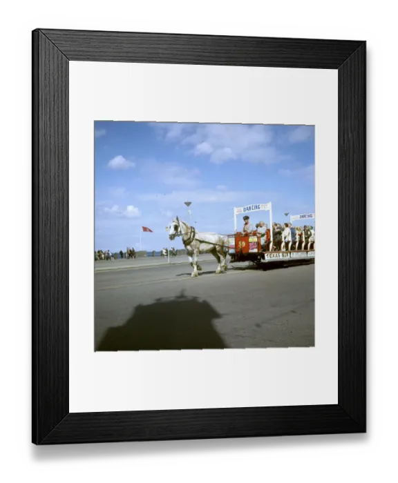 Framed Print : (insert) Framed Print : (insert)