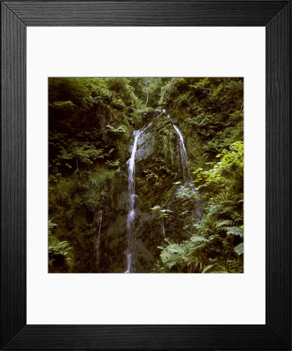 Framed Print : (insert) Framed Print : (insert)