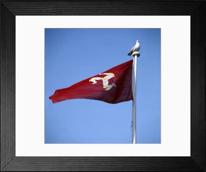 Framed Print : (insert) Framed Print : (insert)