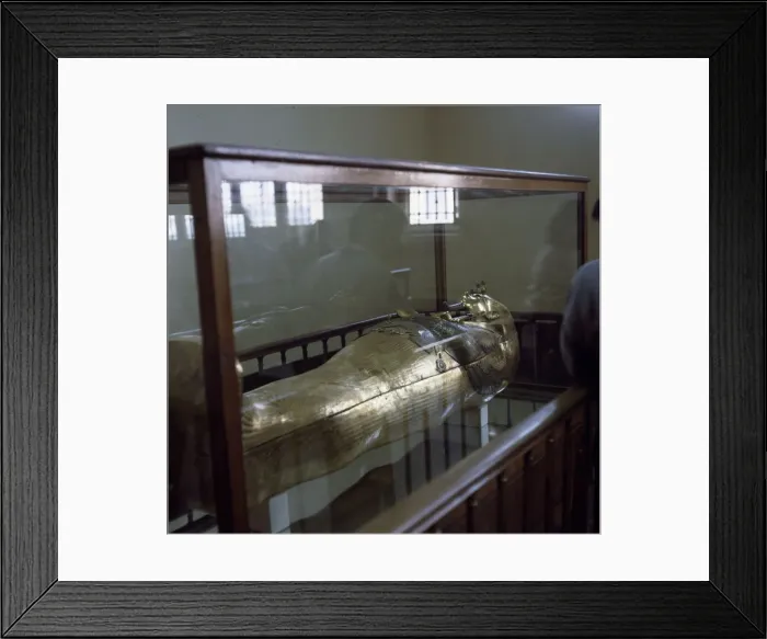 Framed Print : (insert) Framed Print : (insert)