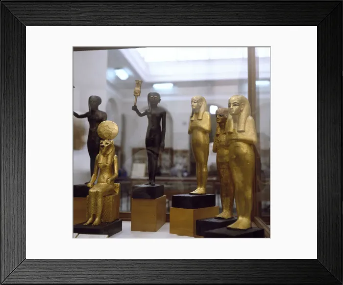 Framed Print : (insert)
