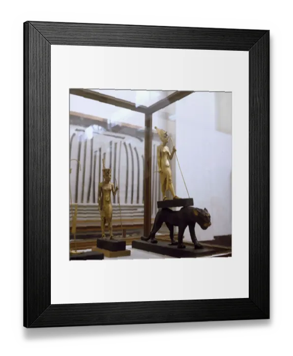 Framed Print : (insert) Framed Print : (insert)