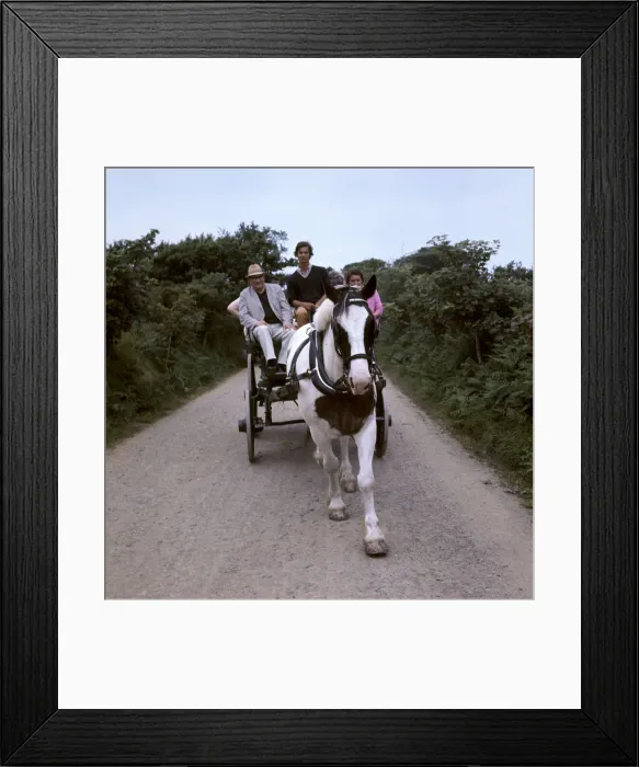 Framed Print : (insert) Framed Print : (insert)