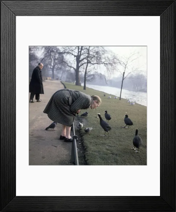 Framed Print : (insert) Framed Print : (insert)