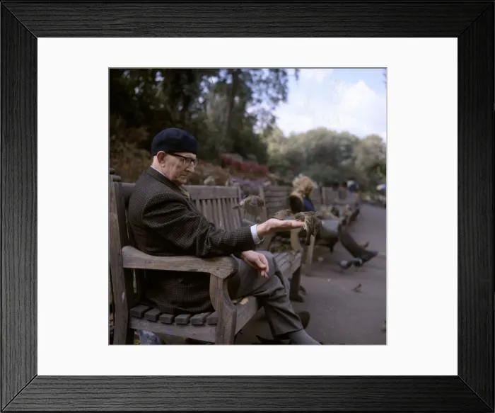 Framed Print : (insert) Framed Print : (insert)