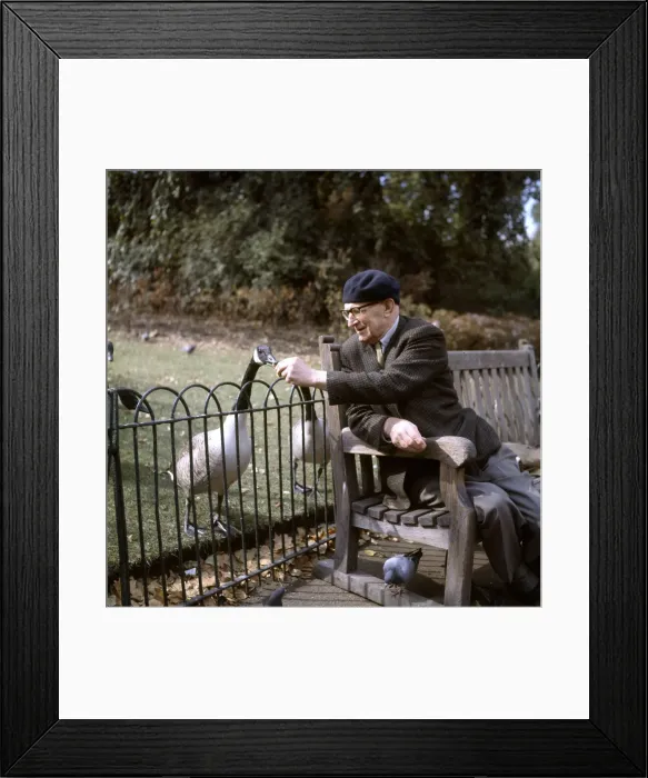 Framed Print : (insert) Framed Print : (insert)