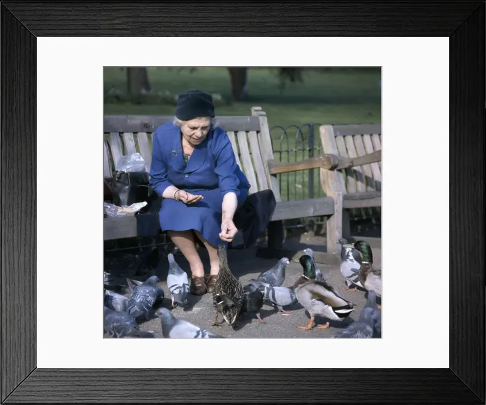 Framed Print : (insert) Framed Print : (insert)
