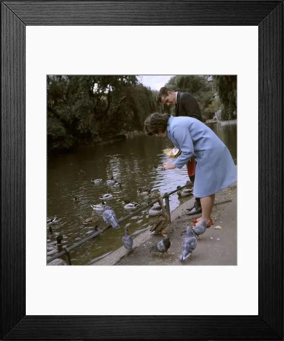 Framed Print : (insert) Framed Print : (insert)