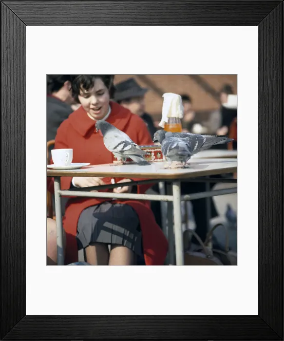Framed Print : (insert) Framed Print : (insert)