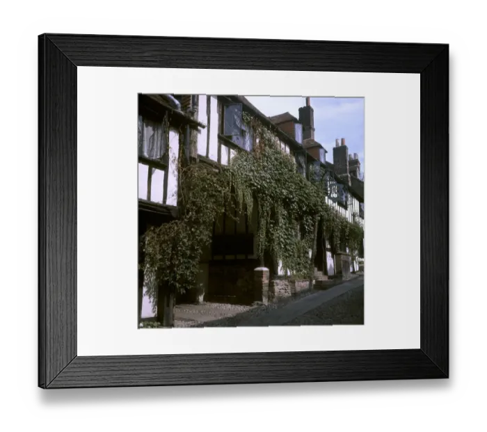 Framed Print : (insert) Framed Print : (insert)