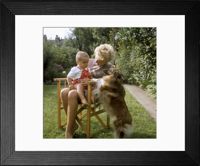 Framed Print : (insert) Framed Print : (insert)