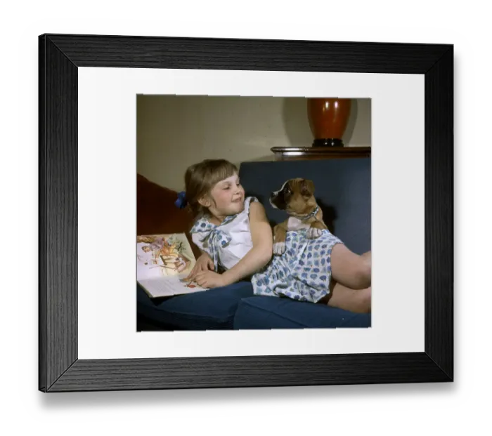 Framed Print : (insert) Framed Print : (insert)