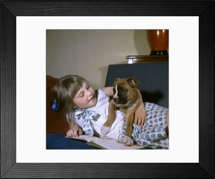 Framed Print : (insert) Framed Print : (insert)