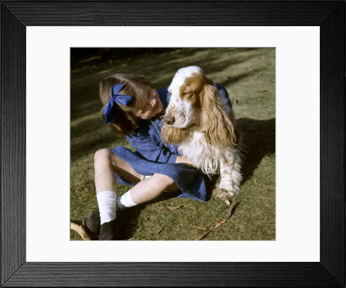 Framed Print : (insert) Framed Print : (insert)