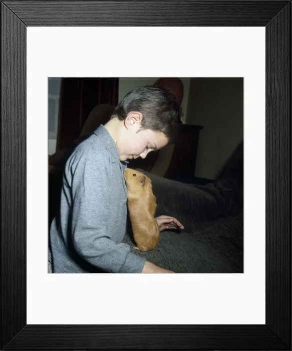 Framed Print : (insert) Framed Print : (insert)