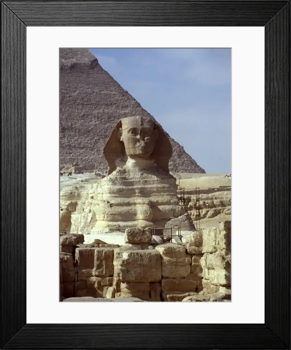 Framed Print : (insert) Framed Print : (insert)
