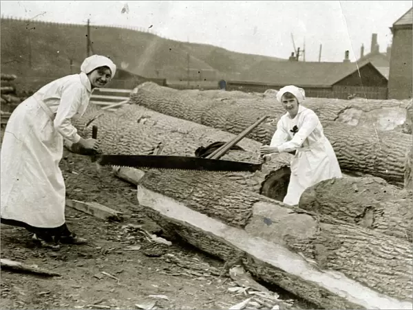Women lumberjacks sawing trees, WW1