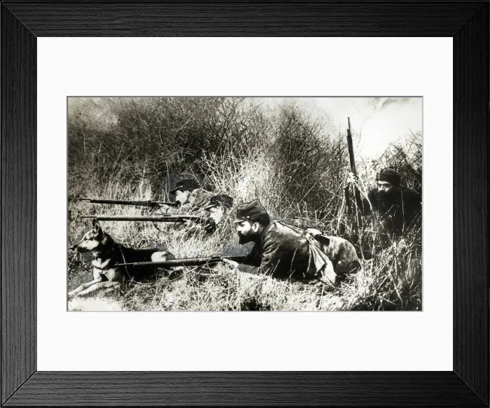 Framed Print : French soldiers with Alsatian dog, WW1 Framed Print : French soldiers with Alsatian dog, WW1