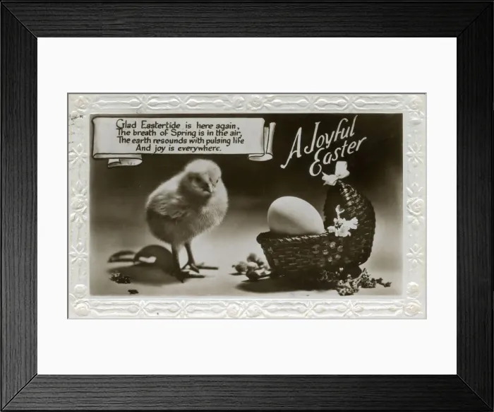 Framed Print : Easter postcard with chick and egg in a basket Framed Print : Easter postcard with chick and egg in a basket