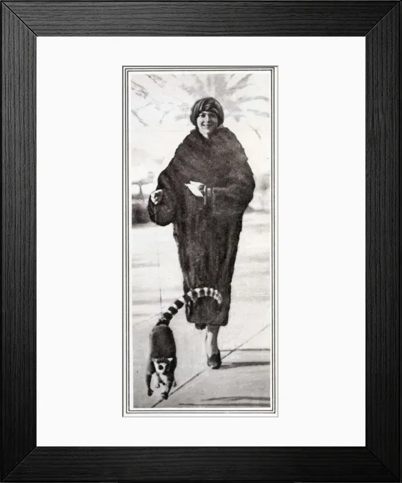Framed Print : The Comtesse de Pourtales and her pet lemur out for a walk Framed Print : The Comtesse de Pourtales and her pet lemur out for a walk