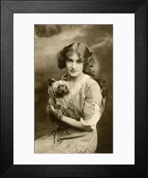 Framed Print : Young woman with small dog in studio portrait Framed Print : Young woman with small dog in studio portrait