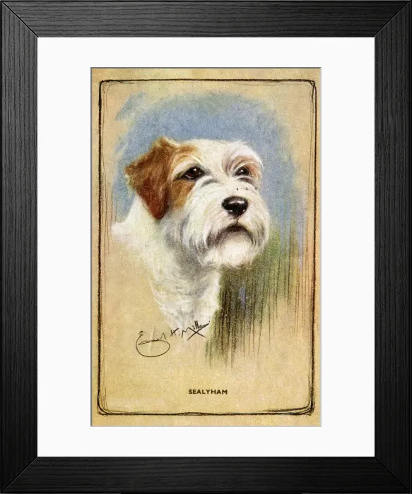Framed Print : Portrait of a terrier on a postcard Framed Print : Portrait of a terrier on a postcard