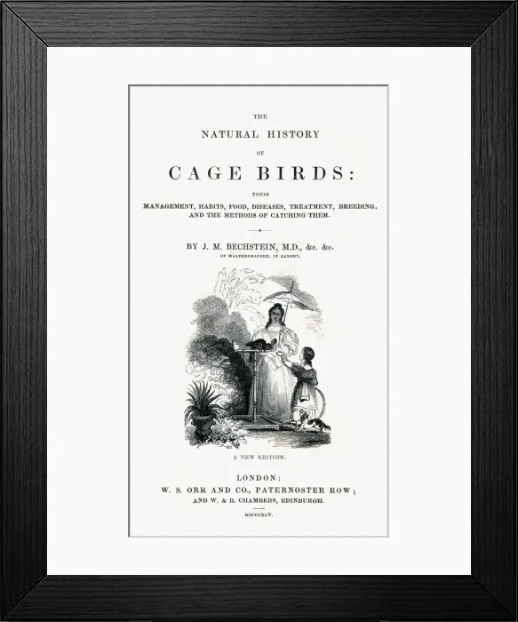 Framed Print : The Natural History of Cage Birds - Title Page Framed Print : The Natural History of Cage Birds - Title Page