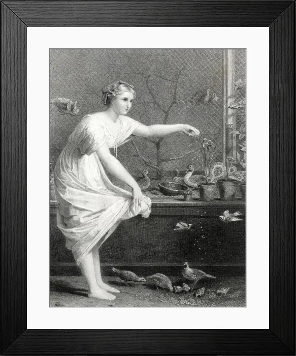 Framed Print : A lady feeds her pet birds Framed Print : A lady feeds her pet birds