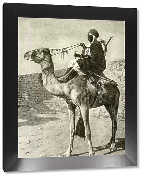 Spahi cavalryman on a camel, Algeria, North Africa