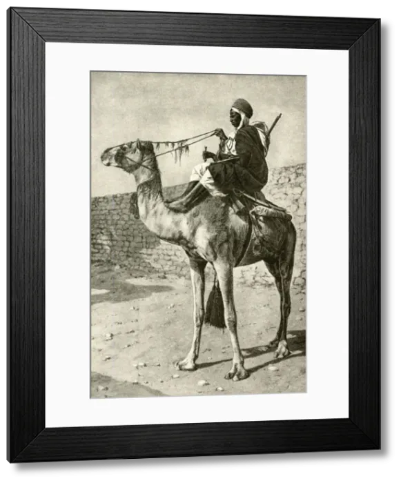 Framed Print : Spahi cavalryman on a camel, Algeria, North Africa Framed Print : Spahi cavalryman on a camel, Algeria, North Africa