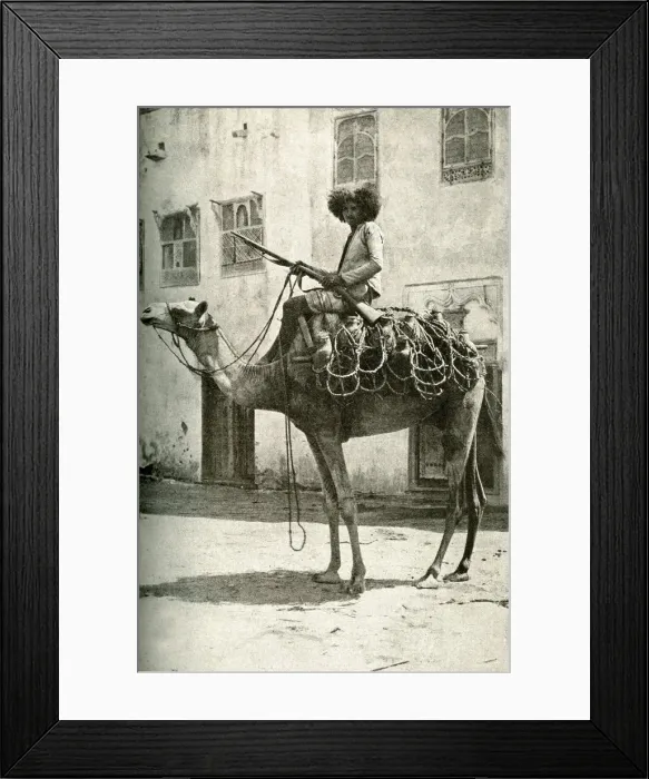 Framed Print : Fighting Bedouin water carrier, Arabia Framed Print : Fighting Bedouin water carrier, Arabia