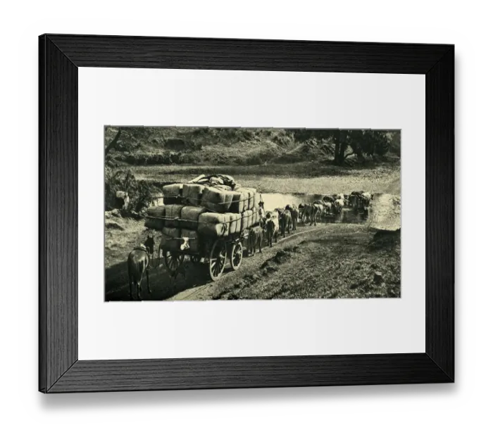 Framed Print : Bales of wool being transported from Riverina, Australia